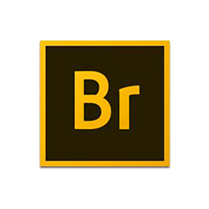 Adobe Bridge CC 2019 集中管理您的创意资源 Win中文版